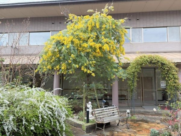 【2026.3.19　薬膳スープでからだ整う】